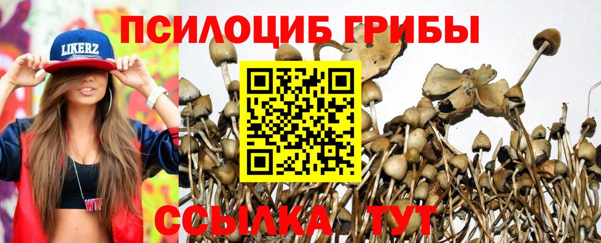 Псилоцибиновые грибы Magic Shrooms Ханты-Мансийск